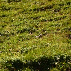 2015-07 Savoie/Orgère/DSC_0411.JPG